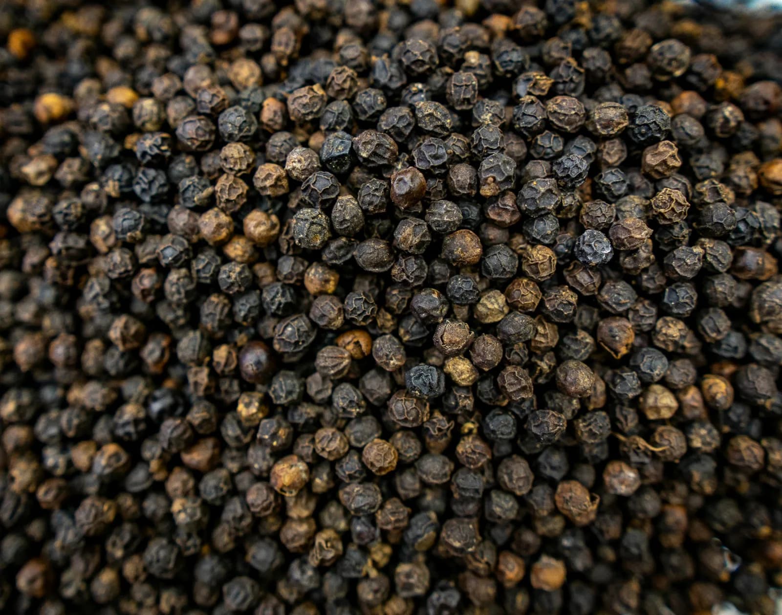 Pepper crop